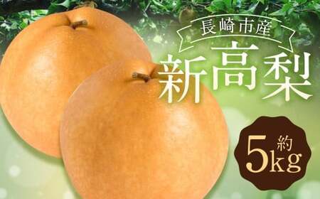 新高梨 5kg [2025年9月上旬〜10月上旬迄発送予定] 梨 なし 和梨 果物 果実 フルーツ 国産 九州 長崎県 長崎市 常温 オンライン決済限定