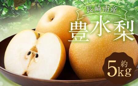 豊水梨 5kg [2025年8月下旬〜9月上旬迄発送予定] / 梨 なし 和梨 果物 果実 フルーツ 国産 九州 長崎県 長崎市 常温 オンライン決済限定