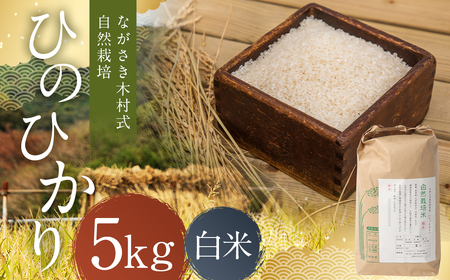 ながさき木村式自然栽培 令和7年産 ひのひかり 白米 5kg [2025年10月上旬〜2026年5月下旬迄発送予定] / 5キロ ヒノヒカリ お米 米 精米 国産 九州 長崎県 長崎市