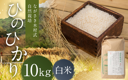ながさき木村式自然栽培 令和7年産 ひのひかり 白米 10kg [2025年10月上旬〜2026年5月下旬迄発送予定] / 10キロ ヒノヒカリ お米 米 精米 国産 九州 長崎県 長崎市
