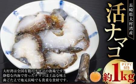 茧Y 呺p i}R 1kg i_C_Ctj y2025N12{`2026N1{\z ^ Ȃ܂ i}R Cl CN  茧Y Y 茧 s ①