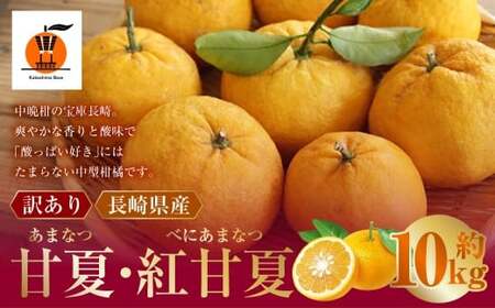 [訳あり] 長崎県産 甘夏 ・ 紅甘夏みかん 約10kg [2026年2月上旬〜3月下旬迄発送予定] / あまなつ 紅あまなつ 柑橘 柑橘類 みかん フルーツ 果物 くだもの 国産フルーツ 規格外品 訳アリ 国産 長崎県 長崎市 常温