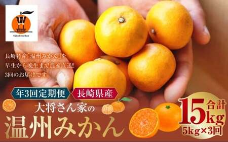 [年3回定期便] 大将さん家の温州みかん 各約5kg (合計:3回 (約15kg) ) [11月・12月・1月配送] / 早生みかん 伊木力系温州みかん 晩生みかん 柑橘 柑橘類 フルーツ 果物 くだもの 長崎県 長崎市 常温