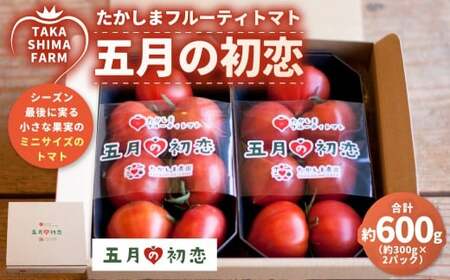 たかしまフルーティトマト [糖度9度以上] 「五月の初恋」 約300gパック×2個 計約600g 化粧箱×1箱 / フルーティートマト フルーツトマト トマト とまと 野菜 やさい サラダ 料理 [2026年3月下旬〜5月下旬発送予定]