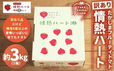 [訳あり] たかしまフルーティトマト [糖度8度以上] 「情熱ハート」 約3kg箱×1 / フルーティートマト フルーツトマト トマト とまと 高糖度 甘い 野菜 やさい サラダ [2026年3月下旬〜5月下旬発送予定]