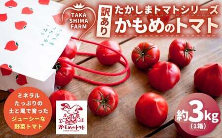 [訳あり] たかしまトマトシリーズ [糖度6度以上] 「かもめのトマト」 約3kg箱×1 / トマト とまと 野菜 やさい サラダ 料理 [2026年1月下旬〜4月下旬発送予定]