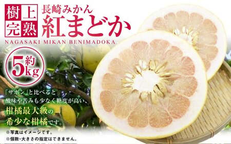 [樹上完熟]長崎みかん(紅まどか)約5kg みかん フルーツ 果物 くだもの ミカン 蜜柑 長崎 [2026年2月上旬-4月下旬発送予定]