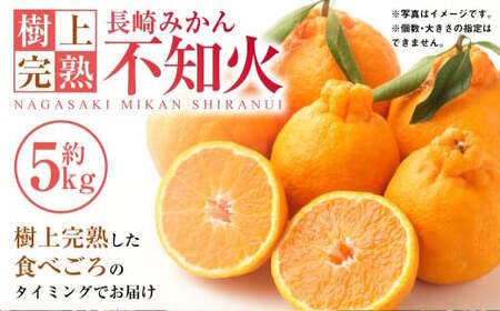 [樹上完熟]長崎みかん( 不知火 )約5kg みかん フルーツ 果物 くだもの ミカン 蜜柑 長崎 [2026年2月上旬-4月下旬発送予定]
