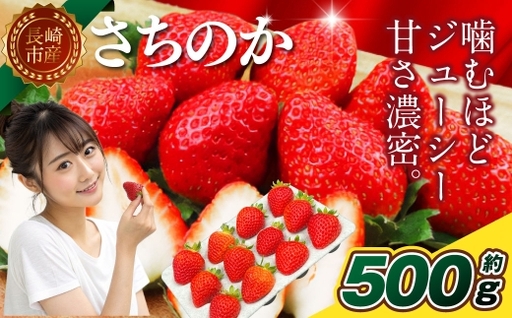 いちご 「 さちのか 」 約500g(500g×1箱) [2027年1月上旬〜3月上旬出荷予定] 果物 くだもの 果実 苺 イチゴ フルーツ 果肉 国産 長崎県産 ジューシー 甘み コク 爽やか ビタミンC 酸味