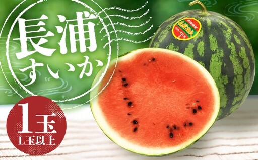 [地元民が愛する幻のすいか] 長浦すいか (L玉以上/6kg〜) [2026年6月上旬〜6月下旬迄発送予定] 琴海 果汁 食感 旬 すいか スイカ 西瓜 果物 くだもの 果実 フルーツ 希少
