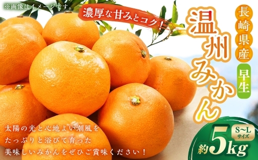 温州みかん ( 早生 ) 約5kg ( S 〜 Lサイズ ) みかん ミカン 蜜柑 早生みかん 柑橘 果物 くだもの 果実 フルーツ 長崎県産 [ 2026年11月上旬〜12月下旬迄発送予定 ]
