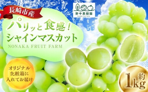 シャインマスカット 約1kg (2〜3房) [2026年8月上旬〜下旬発送予定] ぶどう 果樹園 香り くだもの 果物 果実 フルーツ 葡萄 ブドウ マスカット 果汁 甘み 酸味