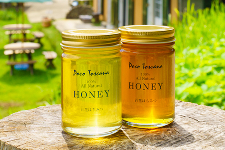 国産里山蜂蜜 検索結果 ふるさと納税サイト ふるなび