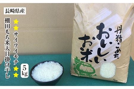 長崎県産 棚田もち米天日掛け干し サイワイモチ 5Kg (令和5年産)長崎市/大将農園 [LCS004] 餅 もち 米 コメ 餅米 もち米 穀物 餅 もち 米 コメ 餅米 もち米 穀物 餅 もち 米 コメ 餅米 もち米 穀物 餅 もち 米 コメ 餅米 もち米 穀物 餅 もち 米 コメ 餅米 もち米 穀物 餅 もち 米 コメ 餅米 もち米 穀物 餅 もち 米 コメ 餅米 もち米 穀物 餅 もち 米 コメ 餅米 もち米 穀物 餅 もち 米 コメ 餅米 もち米 穀物 餅 もち 米 コメ 餅米 もち米 穀物