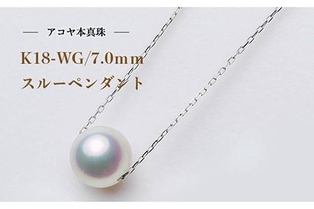 wg7の返礼品 検索結果 | ふるさと納税サイト「ふるなび」