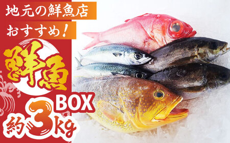 日本唯一「以西底びき網漁」の鮮魚詰合せ 約2.5kg＜山田水産＞ [LGA001