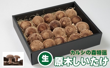 カルシの森の特選 原木椎茸(生)