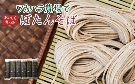 ワカハラ農場でおいしく育ったぼたんそば[太麺]6束