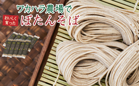 ワカハラ農場でおいしく育ったぼたん蕎麦[太麺]10束(200g)×つゆ4本