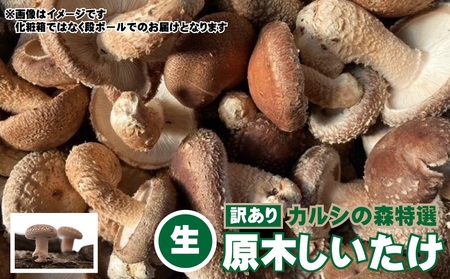 Y-2001 y󂠂zJV̐XI ؂ijQkg