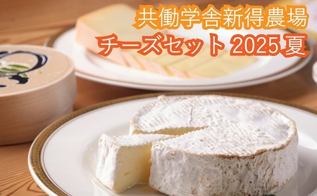 共働学舎新得農場チーズセット 2025夏