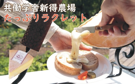共働学舎新得農場チーズ たっぷりラクレット500g