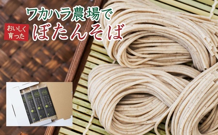 ワカハラ農場でおいしく育ったぼたんそば[太麺]4束