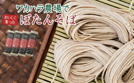 ワカハラ農場でおいしく育ったぼたんそば[細麺]4束