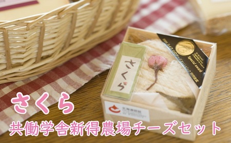 共働学舎新得農場チーズセット2026さくら