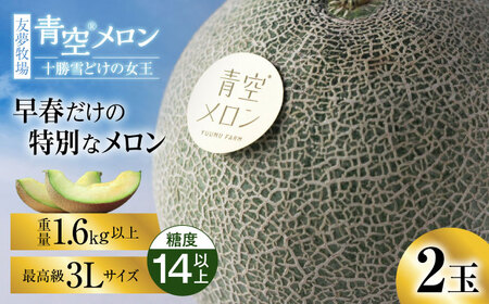 [5月〜発送]＼最高級/メロン 2玉 3L[BNBM002]
