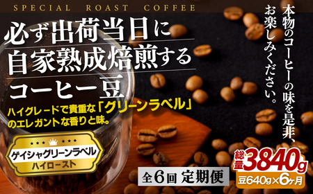 KoדɎƏnQCV(640g)y6ցzySASEBO Coffee TOMINAGAz lCR[q[ VN Nx Q R[q[