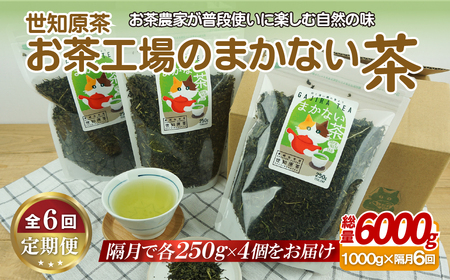 世知原茶お茶工場のまかない茶[6回定期便]