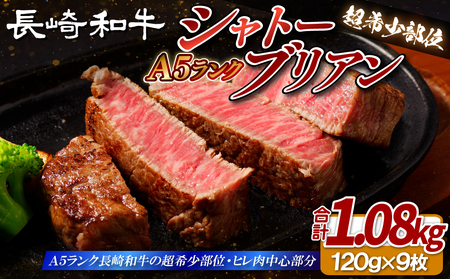 [超希少部位]長崎和牛 A5等級 シャトーブリアン 120g×9枚 総量1.08kg[田中精肉店]シャトーブリアン ヒレ フィレ ステーキ 赤身 和牛 黒毛和牛 牛肉 希少部位