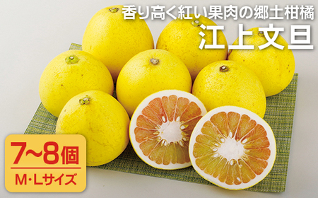 香り高く紅い果肉の郷土柑橘「江上文旦」