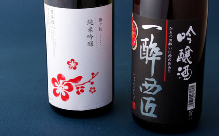 《定期便》香り豊かな純米吟醸･吟醸酒のプチ贅沢一升瓶2本【6回お届け】