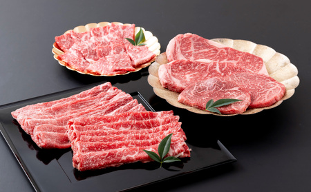 [定期便]長崎県産牛 食べ比べ ぜいたく便[12回お届け]