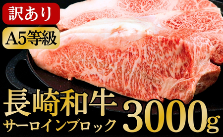 [訳あり限定]長崎和牛A5ランクサーロインブロック 計3kg(約1kg×3)
