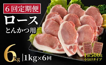 《定期便》長崎県産豚 ロースとんかつ用計1kg(100g×5枚×2) 【6回お届け】