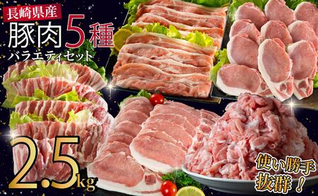 長崎県産豚 バラエティ 5点セット 総計2.5kg