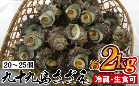 [鮮度抜群!コリコリ食感]九十九島 さざえ 2kg以上 (20~25個) 刺身はコリコリ ナイフ 説明書付き 出荷前にUV殺菌済み 週に1度ノロウイルスの検査および菌検査を実施[マルモ水産]さざえ おすすめ 高評価 人気 プリプリ ぷりぷりさざえ ふっくら セット 酒蒸し 冷蔵 ギフト 極上 大容量 贈答 お中元 お歳暮 生食可 刺身 壷焼き バター焼き BBQ 海鮮 大容量 長崎県 佐世保市