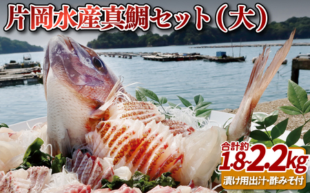 片岡水産真鯛セット(大)