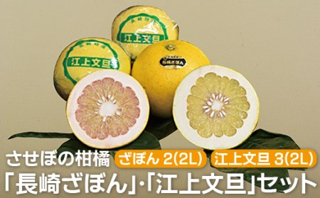 ڂ̊k肴ڂ񣥢]㕶UZbg