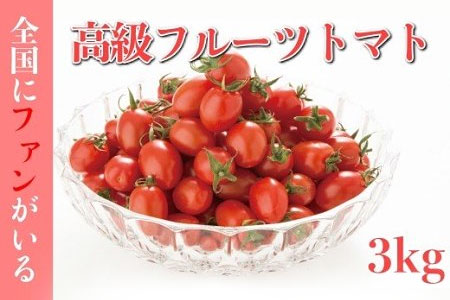 AA001全国にファンがいる高級フルーツトマト　どっさり！アイコ３㎏