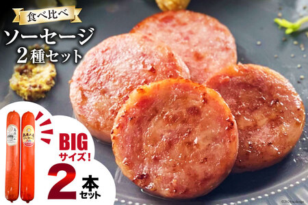 AI066 特大！ ソーセージ 2種2本 食べ比べ セット（島原ハムポークソーセージ800g×1本 島原工房ソーセージ770g×1本） [ ハム ソーセージ 肉 豚肉 おつまみ 国産 長崎県 島原市 ] レビューキャンペーン