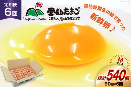 BI041 6  ՂI _傽܂MTCY 90(85{⏞5) [茧 s]