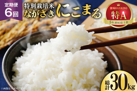 CD106【6回定期便】特別栽培米ながさきにこまる 5kg[ 白米 精米 ごはん ご飯 こめ おこめ もちもち おにぎり 粘り おいしい 長崎県産 長崎県産米 長崎にこまる 長崎県 島原市 ]