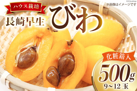 AI209 【令和8年度出荷分】赤秀 長崎 びわ 500g 温室ハウス栽培 長崎早生 [フルーツ 枇杷 ビワ 果物 化粧箱入り 季節限定 99アイランドファーム 長崎県 島原市 ]