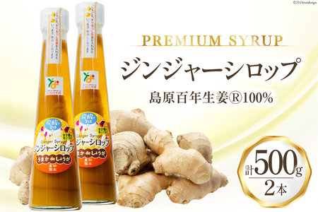 AI201 ジンジャー シロップ 250g 2本 計500g [長崎県 島原市]