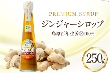 AI200 ジンジャー シロップ 250g 1本 [長崎県 島原市]