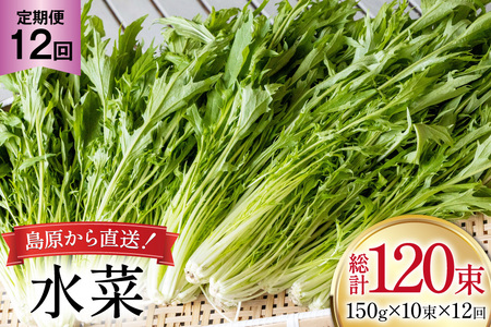 AI337  12  10 [茧 s]